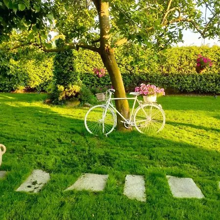 Bed & Breakfast Albina