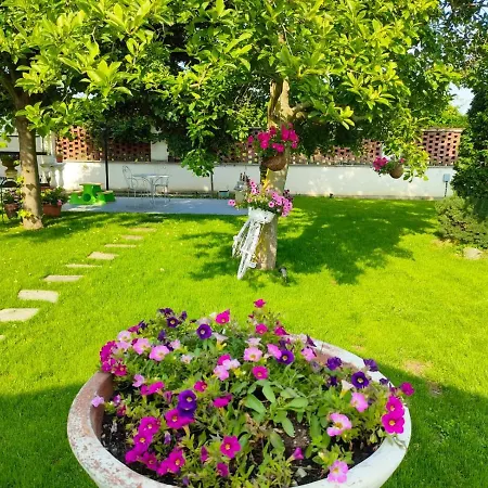 Bed & Breakfast Albina