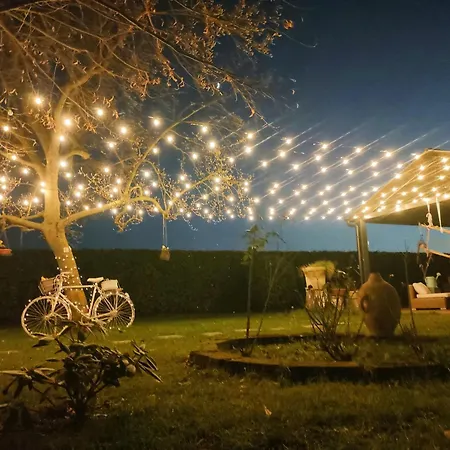Albina Bed & Breakfast *