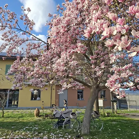 Bed & Breakfast Albina *