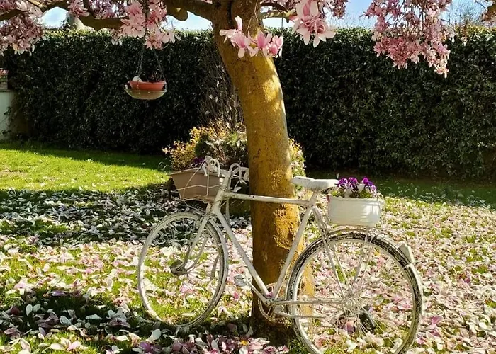 Albina 3* La Loggia