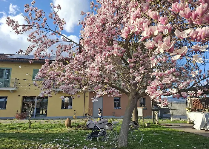 Frühstückspension Albina 3*